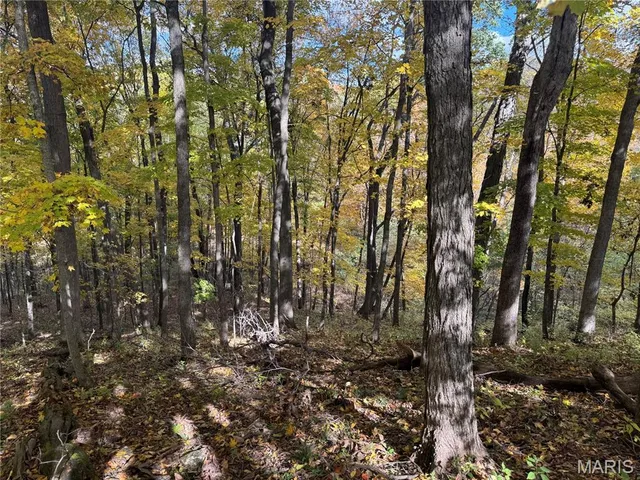 $130,000 | 0 Pawnee Drive, New London, MO 63459