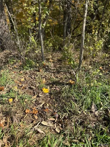 $130,000 | 0 Pawnee Drive, New London, MO 63459