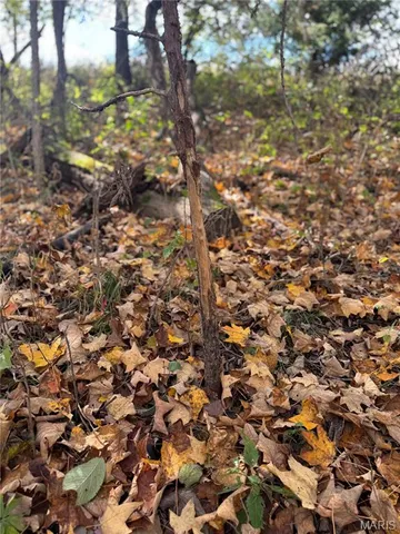 $130,000 | 0 Pawnee Drive, New London, MO 63459