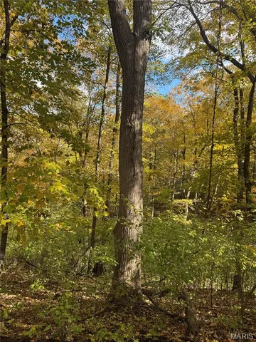 $130,000 | 0 Pawnee Drive, New London, MO 63459