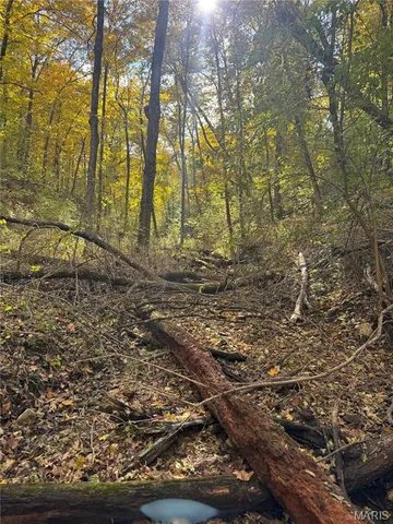 $130,000 | 0 Pawnee Drive, New London, MO 63459