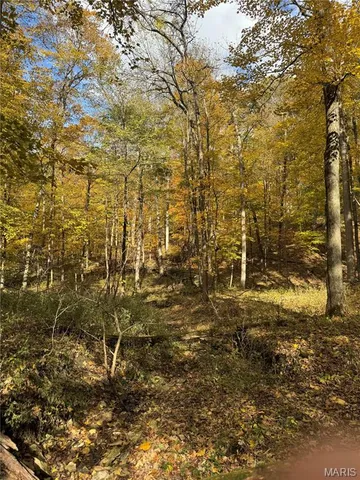 $130,000 | 0 Pawnee Drive, New London, MO 63459