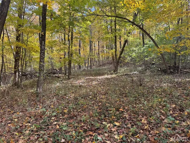 $130,000 | 0 Pawnee Drive, New London, MO 63459