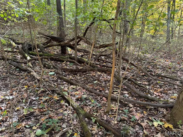 $130,000 | 0 Pawnee Drive, New London, MO 63459