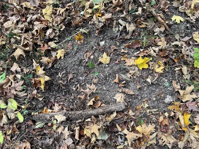 $130,000 | 0 Pawnee Drive, New London, MO 63459