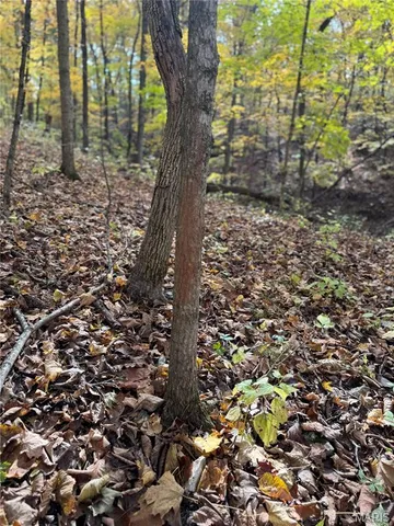 $130,000 | 0 Pawnee Drive, New London, MO 63459