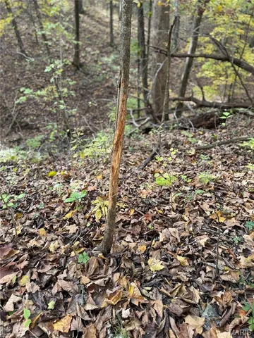 $130,000 | 0 Pawnee Drive, New London, MO 63459