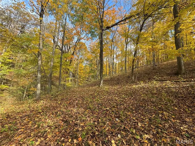 $130,000 | 0 Pawnee Drive, New London, MO 63459