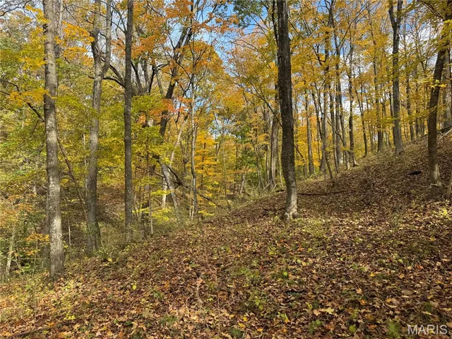 $130,000 | 0 Pawnee Drive, New London, MO 63459