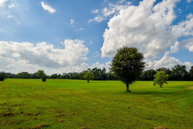 113 McVey Road Aiken, SC 29803 - Photo 13 of 39