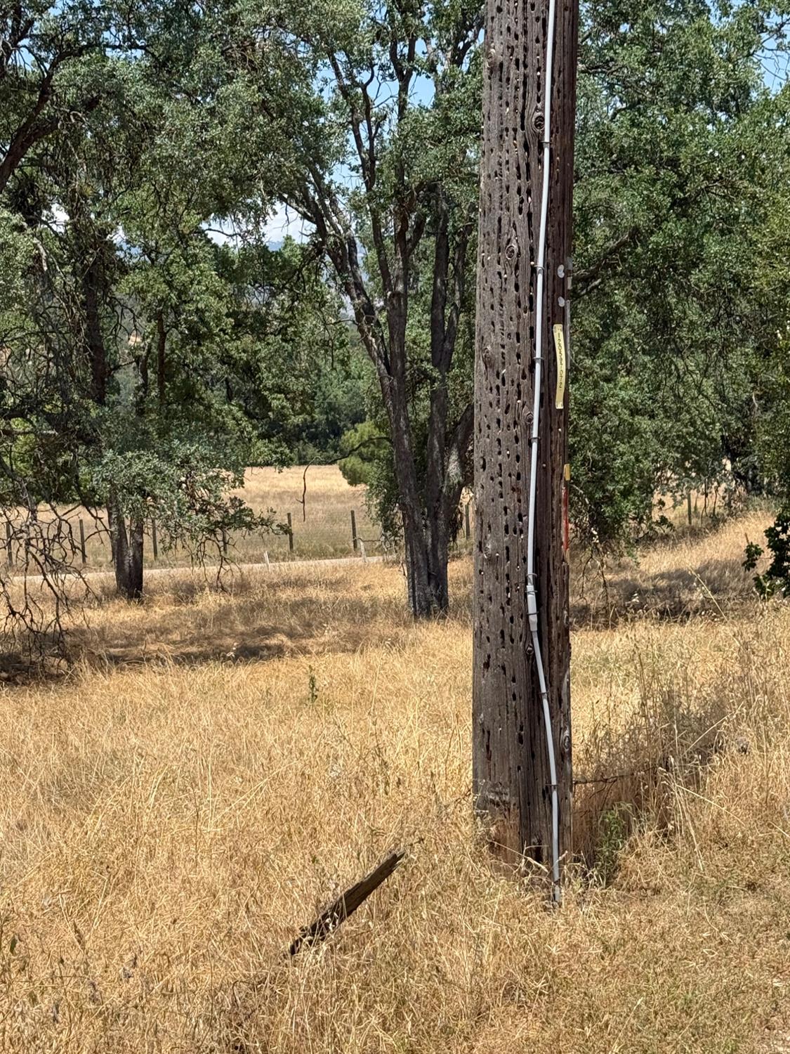 45160 Sand Creek Road Squaw Valley, CA 93675 - Photo 11 of 11 a view of a yard with mountain
