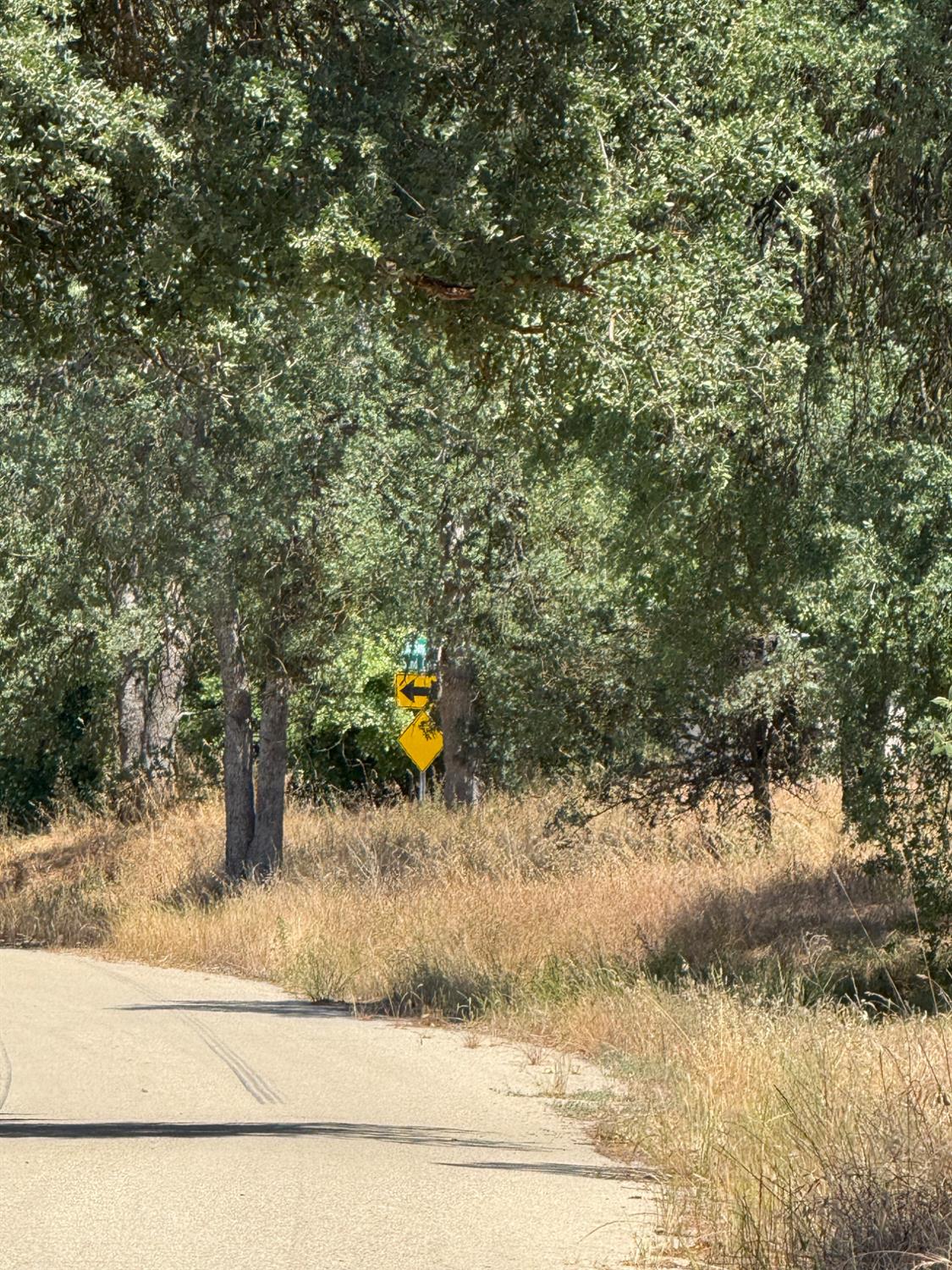 45160 Sand Creek Road Squaw Valley, CA 93675 - Photo 5 of 11 a view of a yard