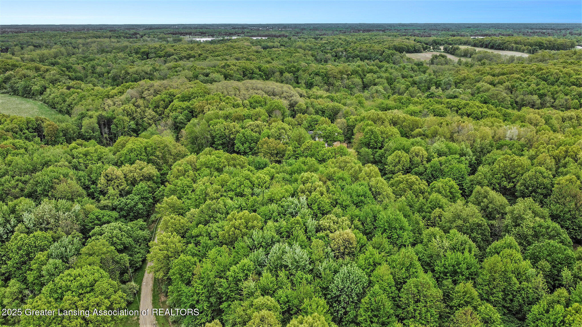 5025 South St Clair Road St. Johns, MI 48879 - Photo 3 of 25 dji_0191_400