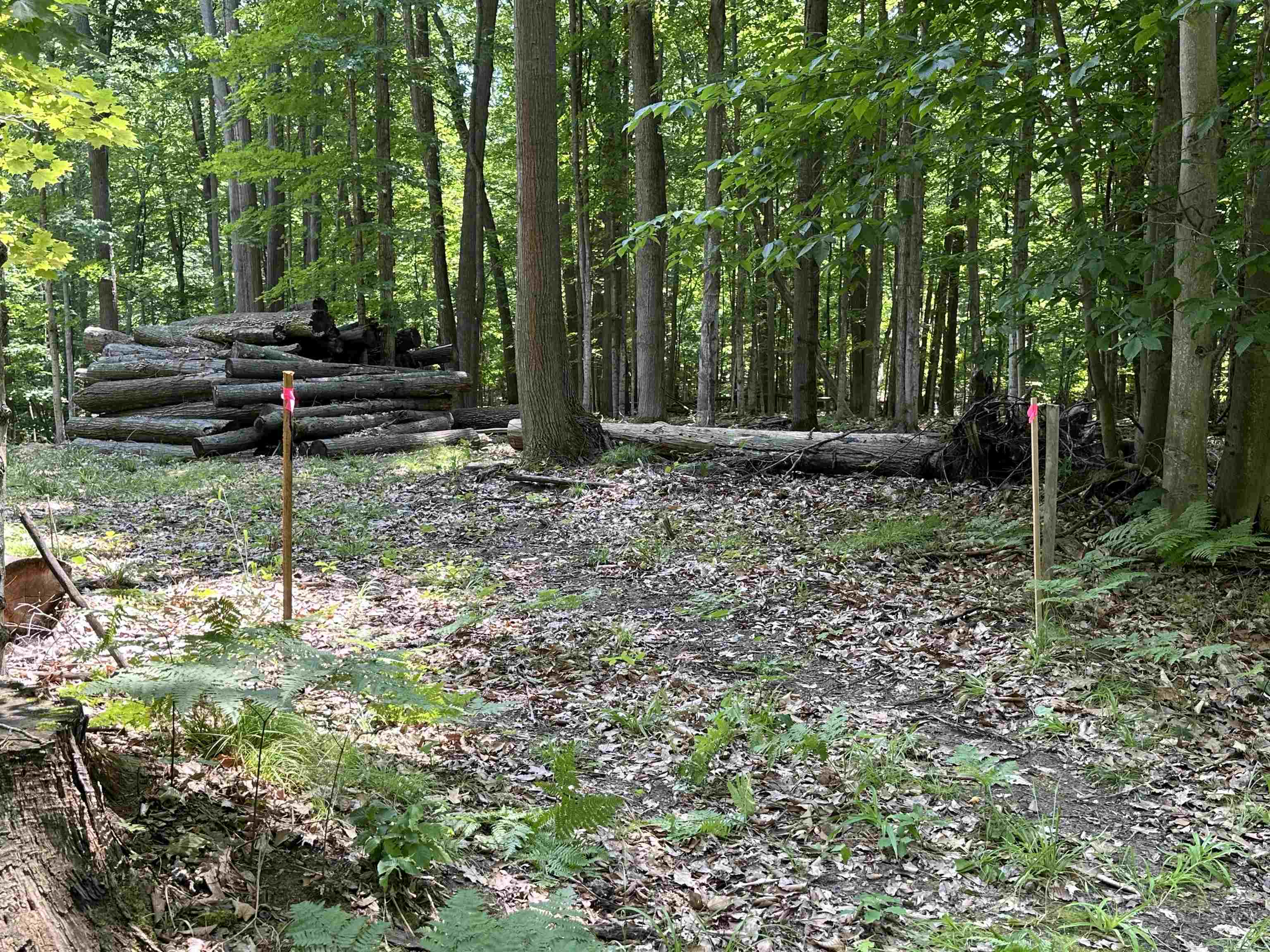 9995 Cedar Run Road Traverse City, MI 49685 - Photo 13 of 14