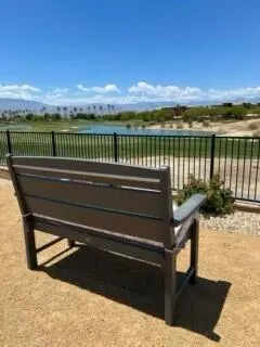 a view of a swimming pool with a garden