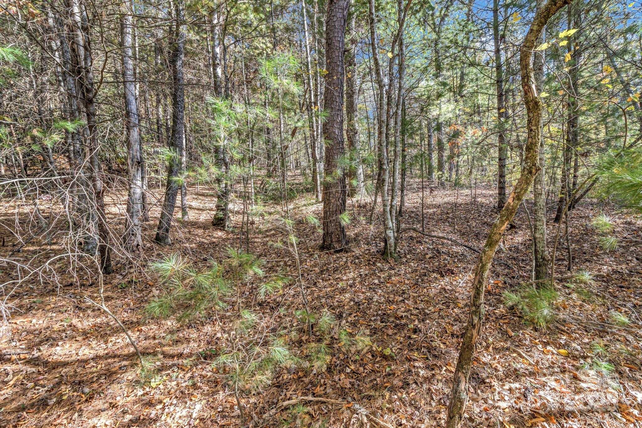 99999 Sharon Ridge Road Fairview, NC 28730 - Photo 1 of 1 Gallery Image 1