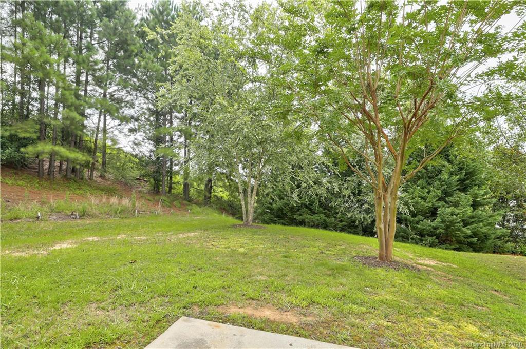 7243 Cascading Pines Drive Tega Cay, SC 29708 - Photo 32 of 33 a view of a trees with a yard