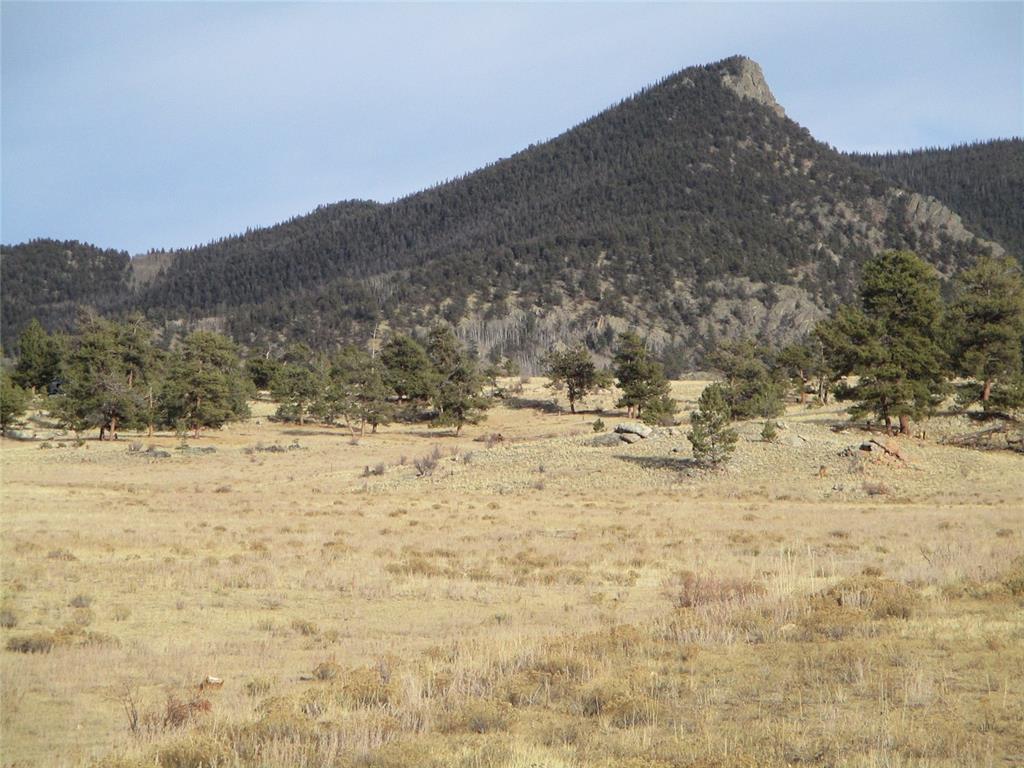 10515 Routt Road Lake George, CO 80827 - Photo 2 of 19