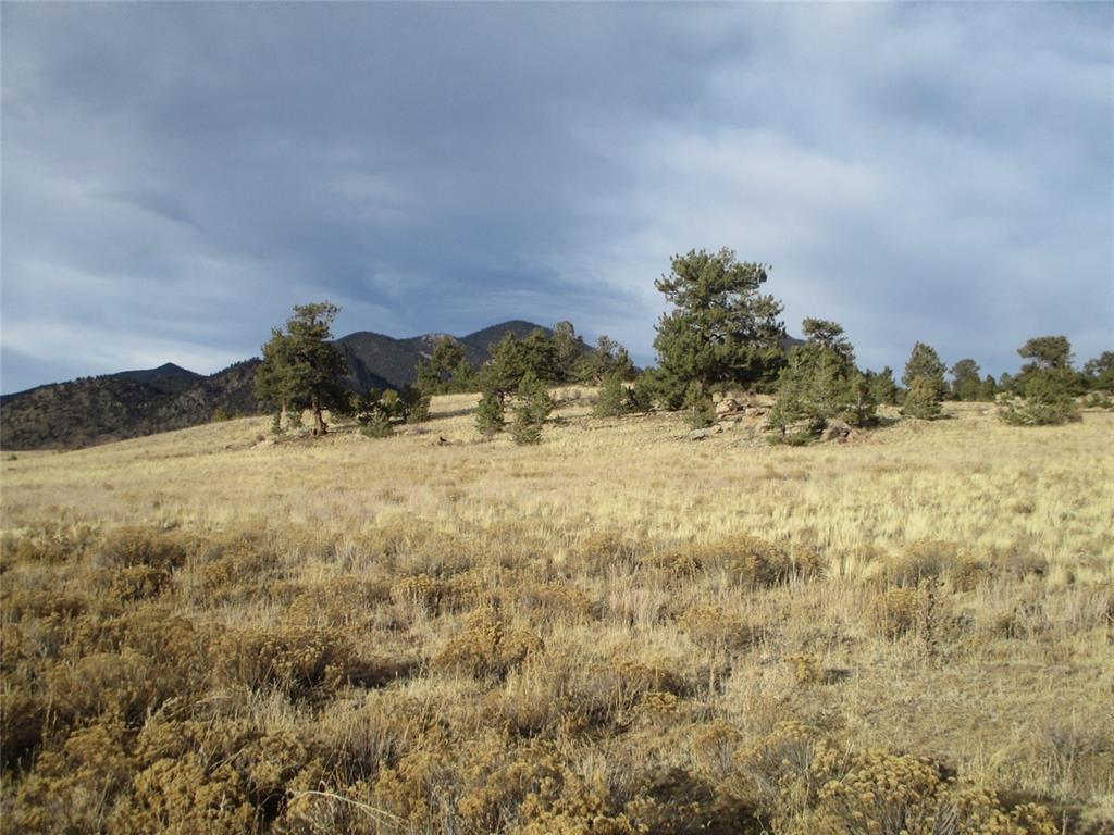 10515 Routt Road Lake George, CO 80827 - Photo 11 of 19 a view of mountain view with mountains in the background