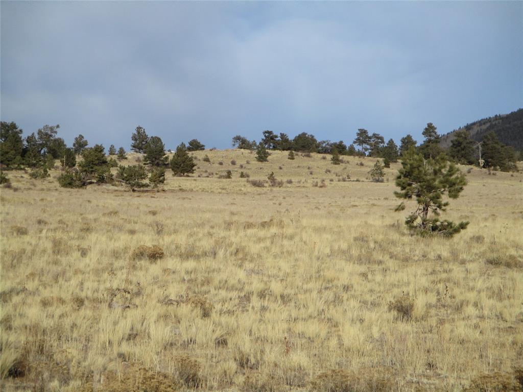 10515 Routt Road Lake George, CO 80827 - Photo 13 of 19 a view of a dry yard with mountains in the background