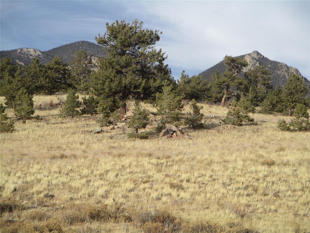 10515 Routt Road Lake George, CO 80827 - Photo 14 of 19 a view of a yard with trees