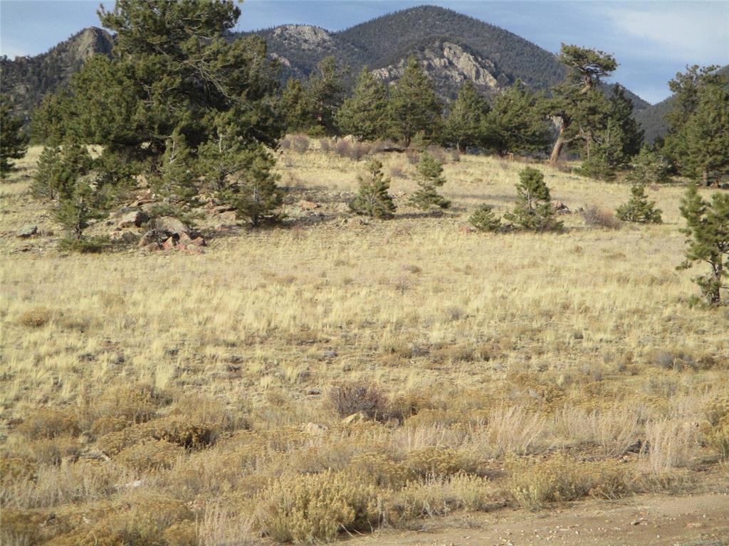 10515 Routt Road Lake George, CO 80827 - Photo 15 of 19
