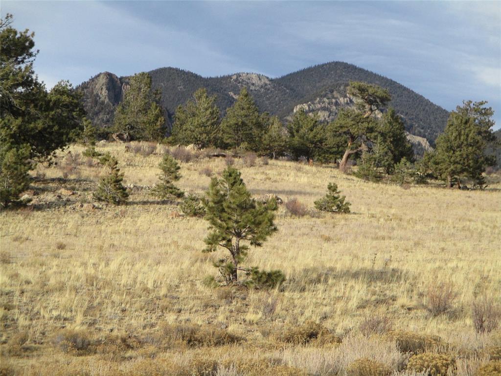 10515 Routt Road Lake George, CO 80827 - Photo 16 of 19 a view of mountain view with mountains in the background