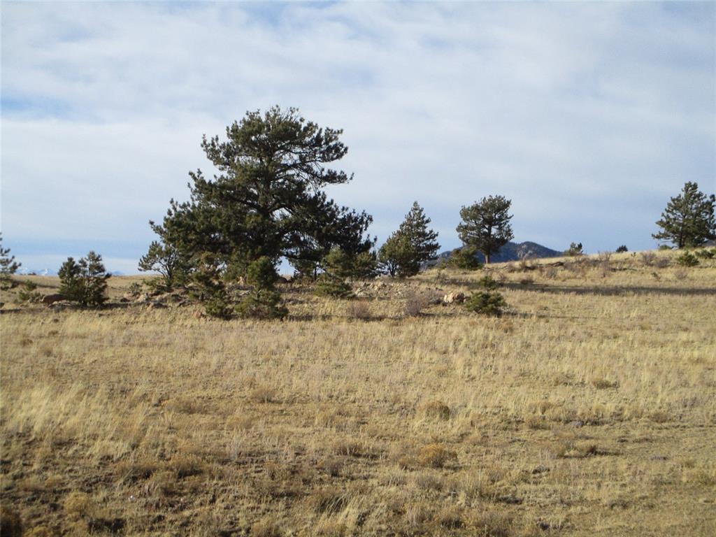 10515 Routt Road Lake George, CO 80827 - Photo 3 of 19 a view of ocean