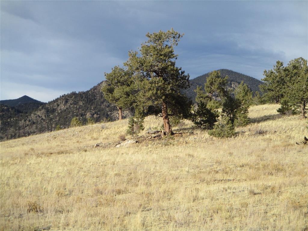 10515 Routt Road Lake George, CO 80827 - Photo 10 of 19 a view of side of snow with trees in the background