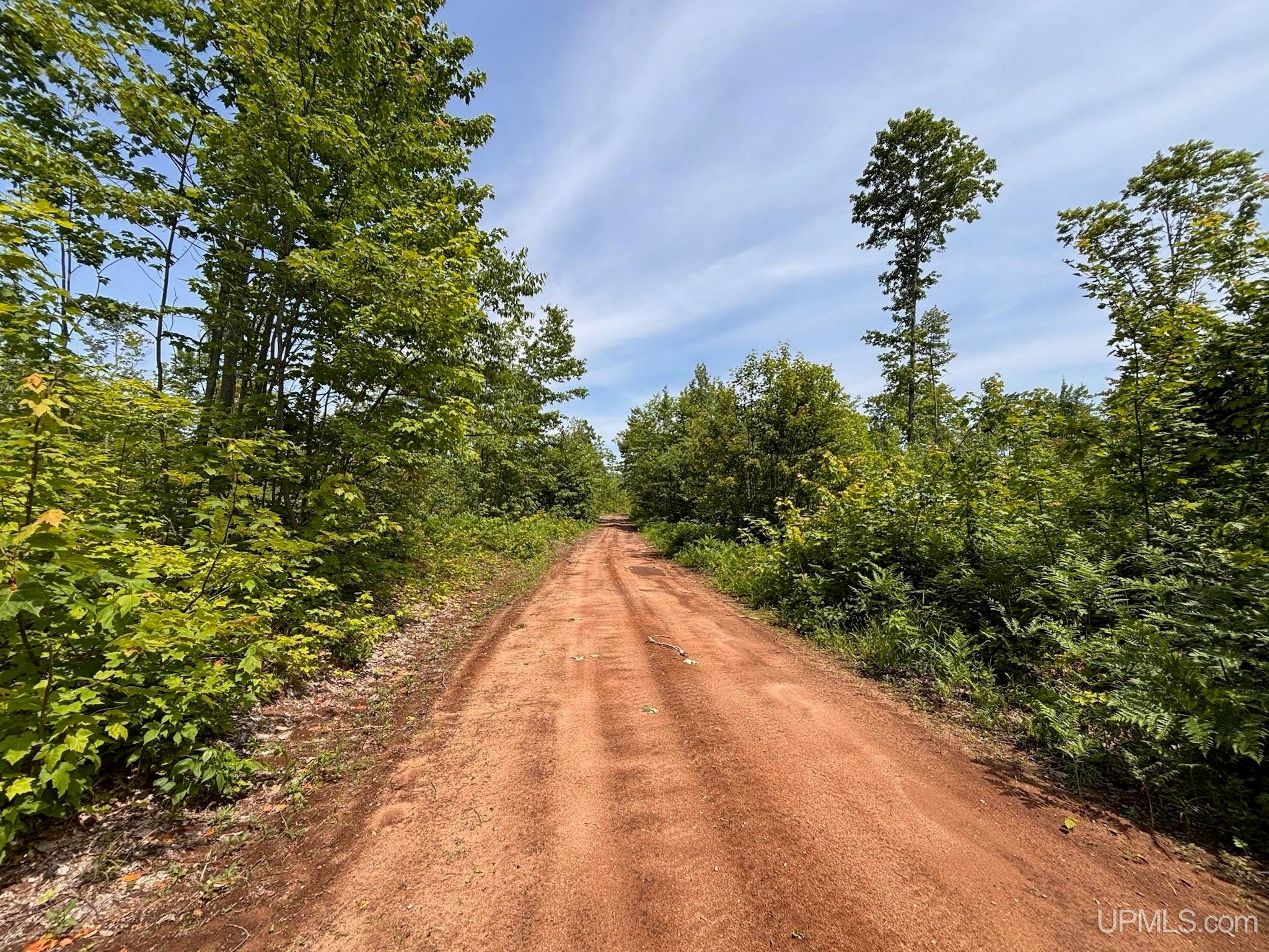 Horseshoe Lake Road Toivola, MI 49965 - Photo 43 of 70 Gallery Image 43
