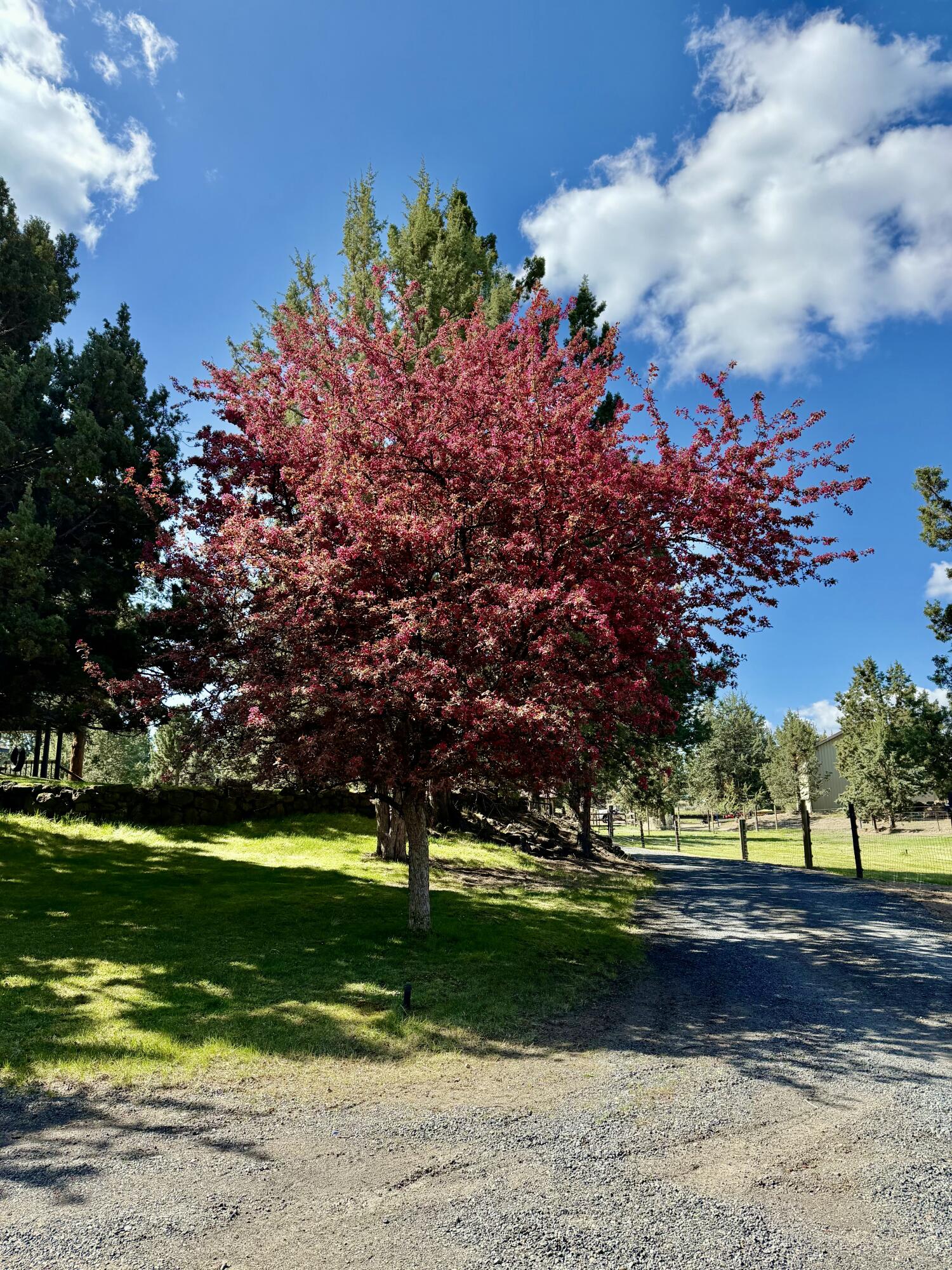 20275 Rogers Road Bend, OR 97703 - Photo 38 of 44 Gallery Image 38