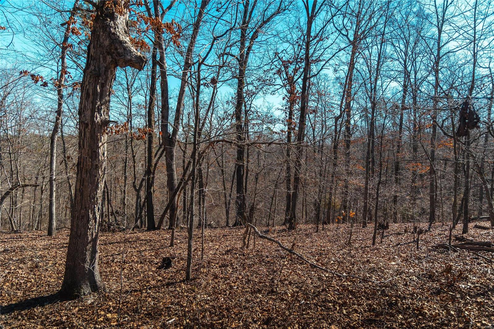 0 Sutton Road Belgrade, MO 63622 - Photo 11 of 20