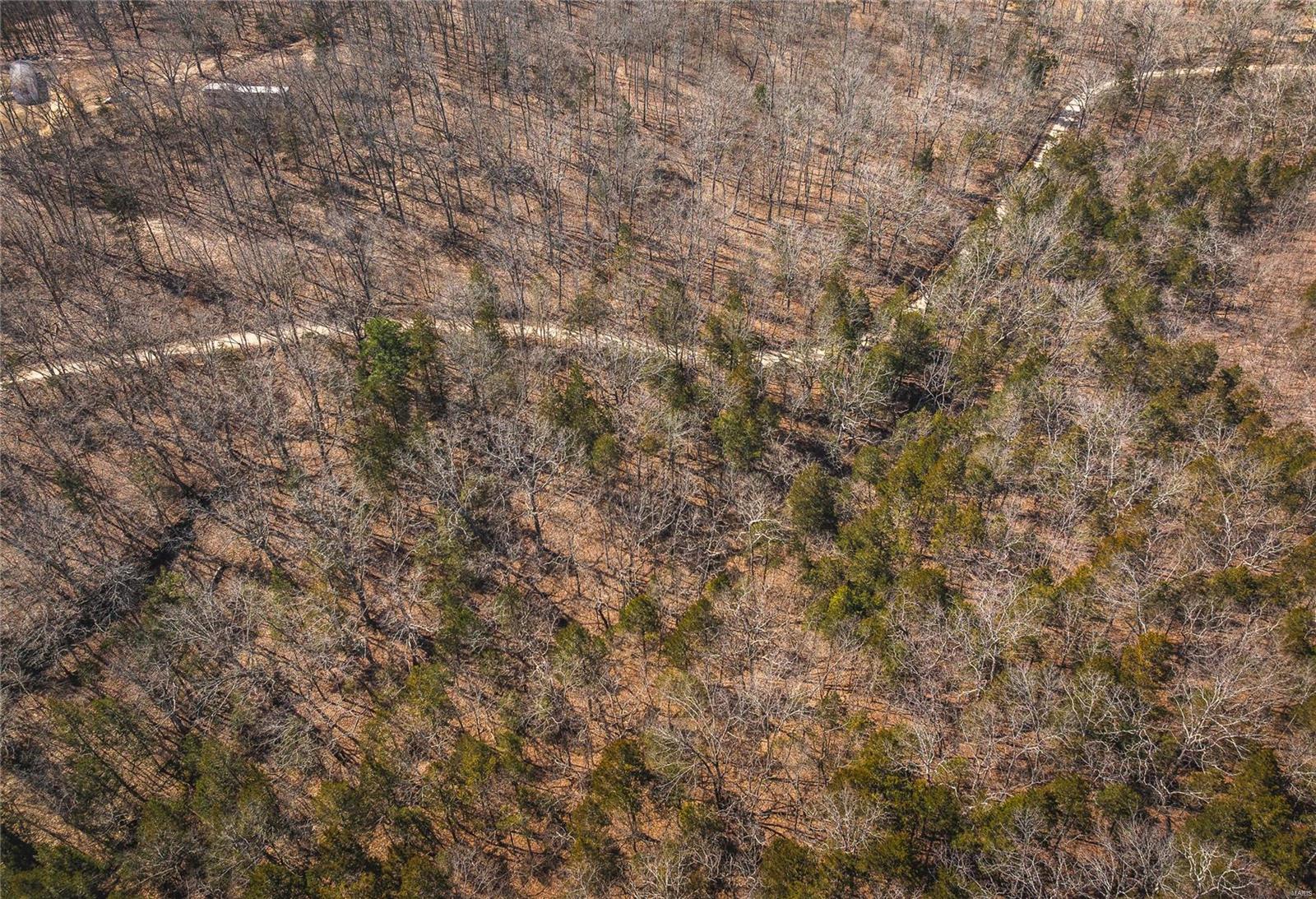 0 Sutton Road Belgrade, MO 63622 - Photo 18 of 20