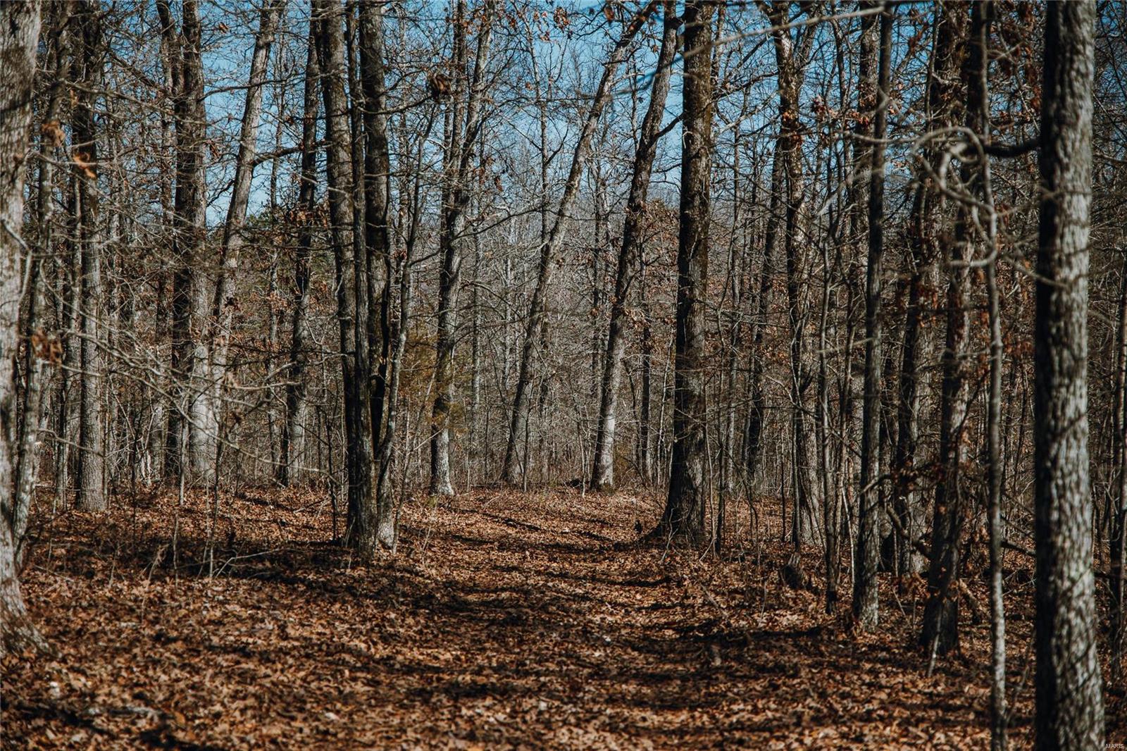 0 Sutton Road Belgrade, MO 63622 - Photo 9 of 20