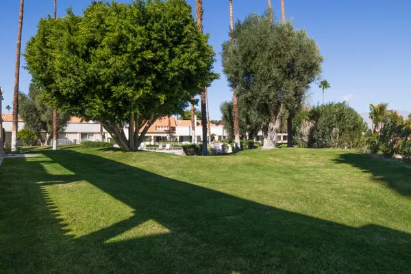 a view of a park with tree s