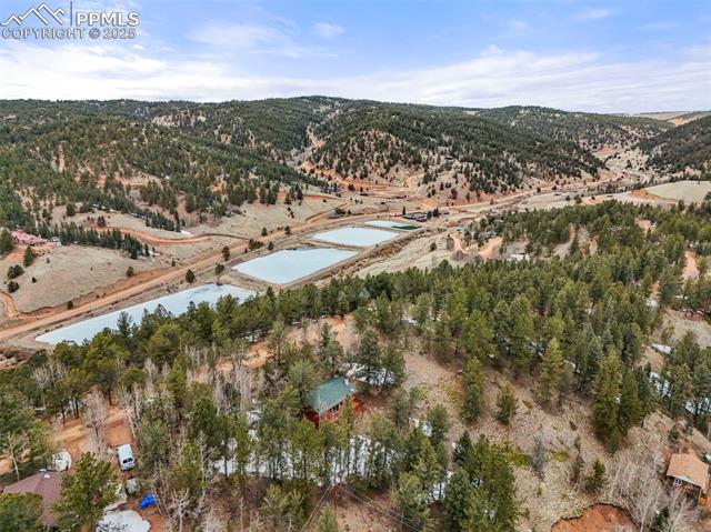 580 Timber Ridge Road Divide, CO 80814 - Photo 28 of 29