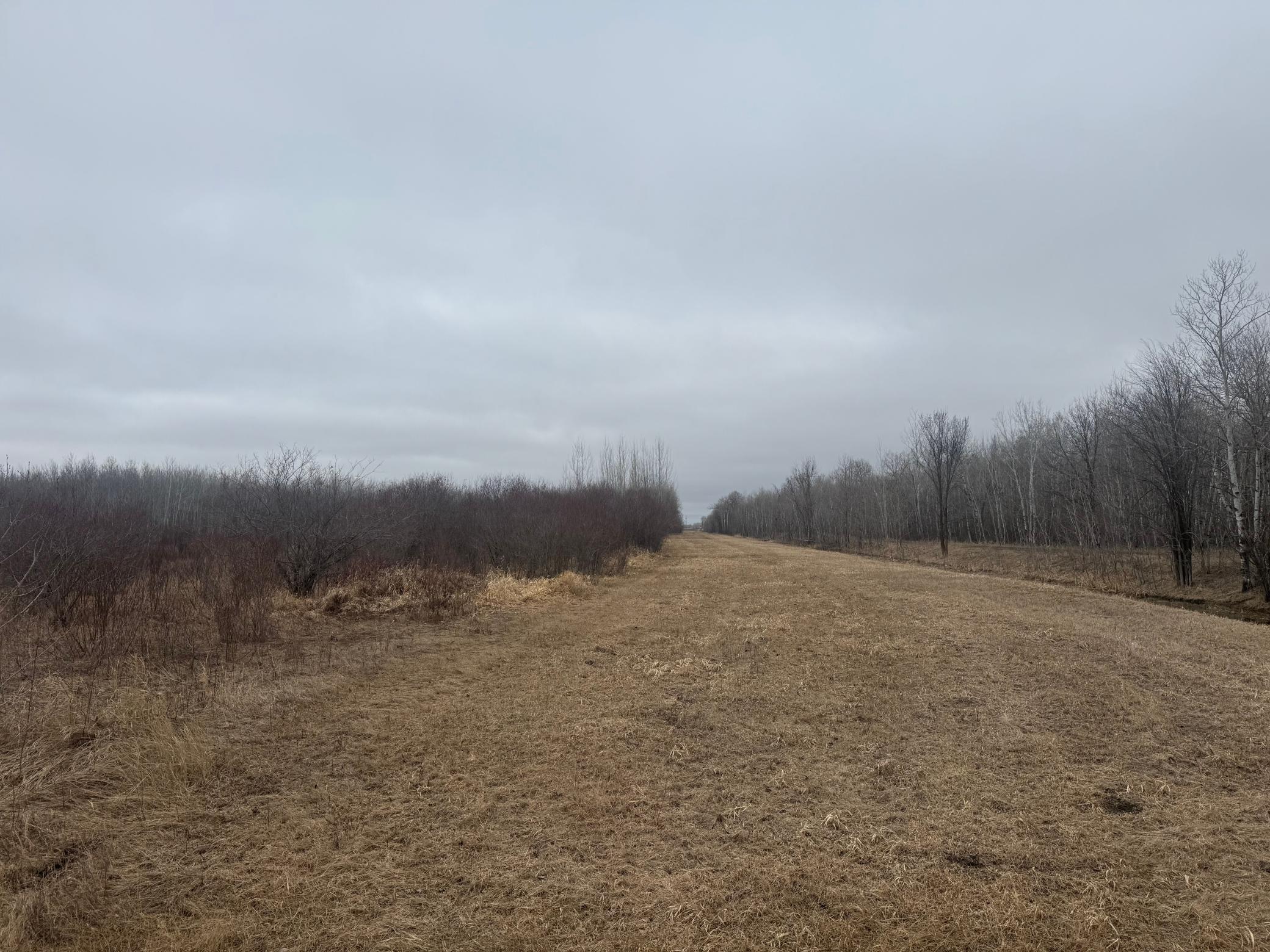 Tbd 200th Street Southeast Plummer, MN 56748 - Photo 11 of 20