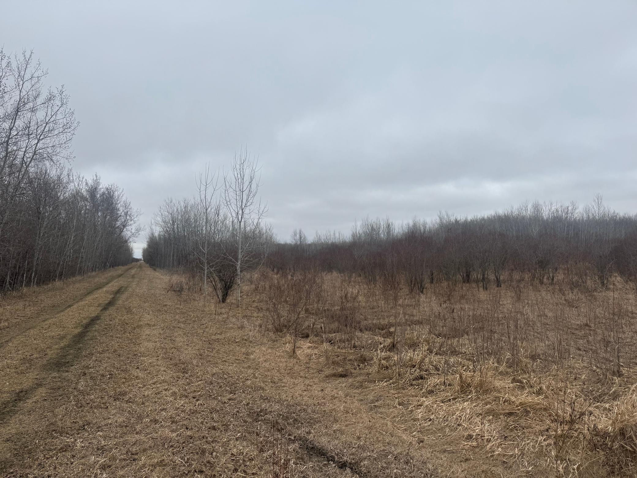 Tbd 200th Street Southeast Plummer, MN 56748 - Photo 12 of 20