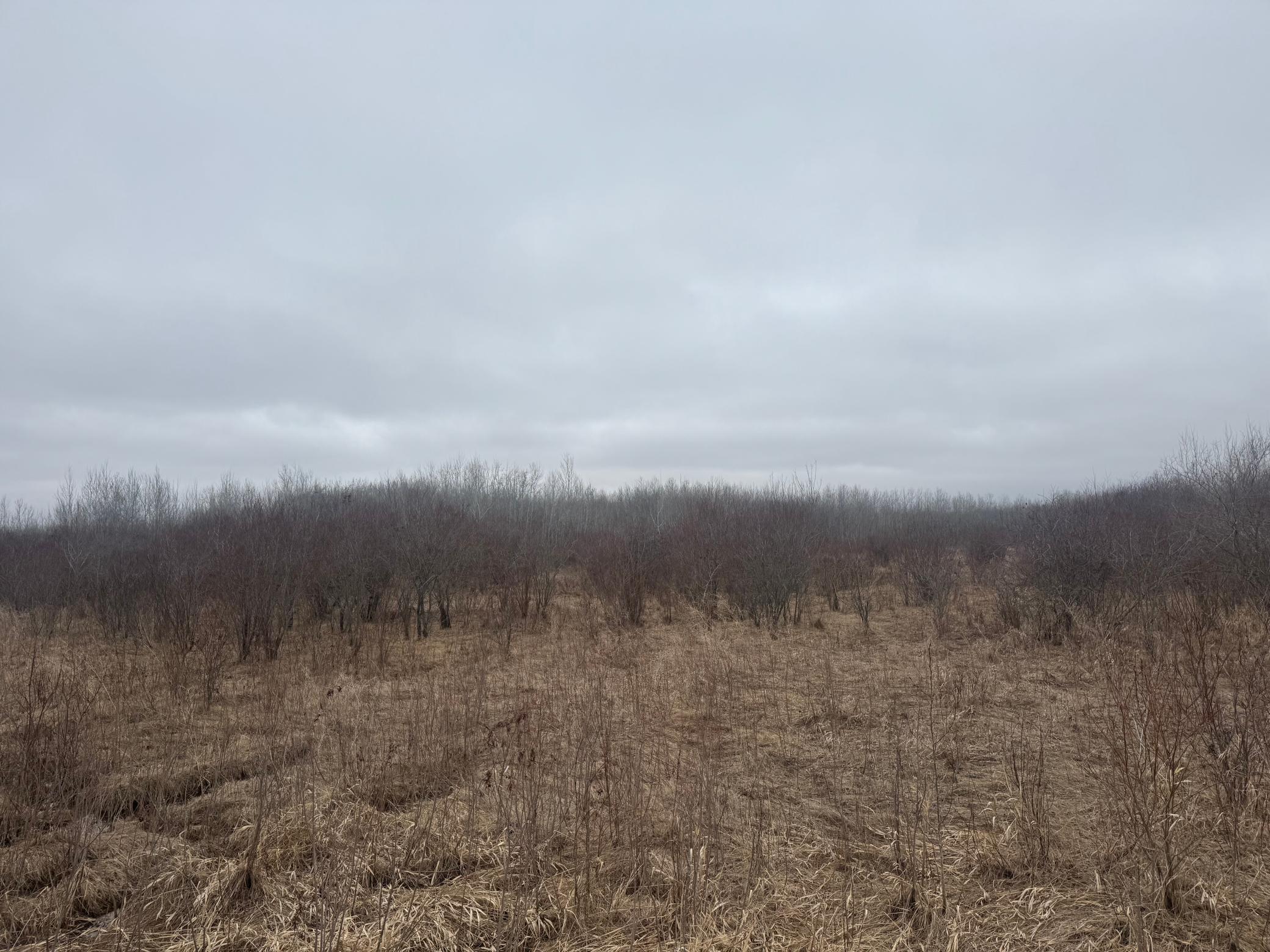 Tbd 200th Street Southeast Plummer, MN 56748 - Photo 13 of 20