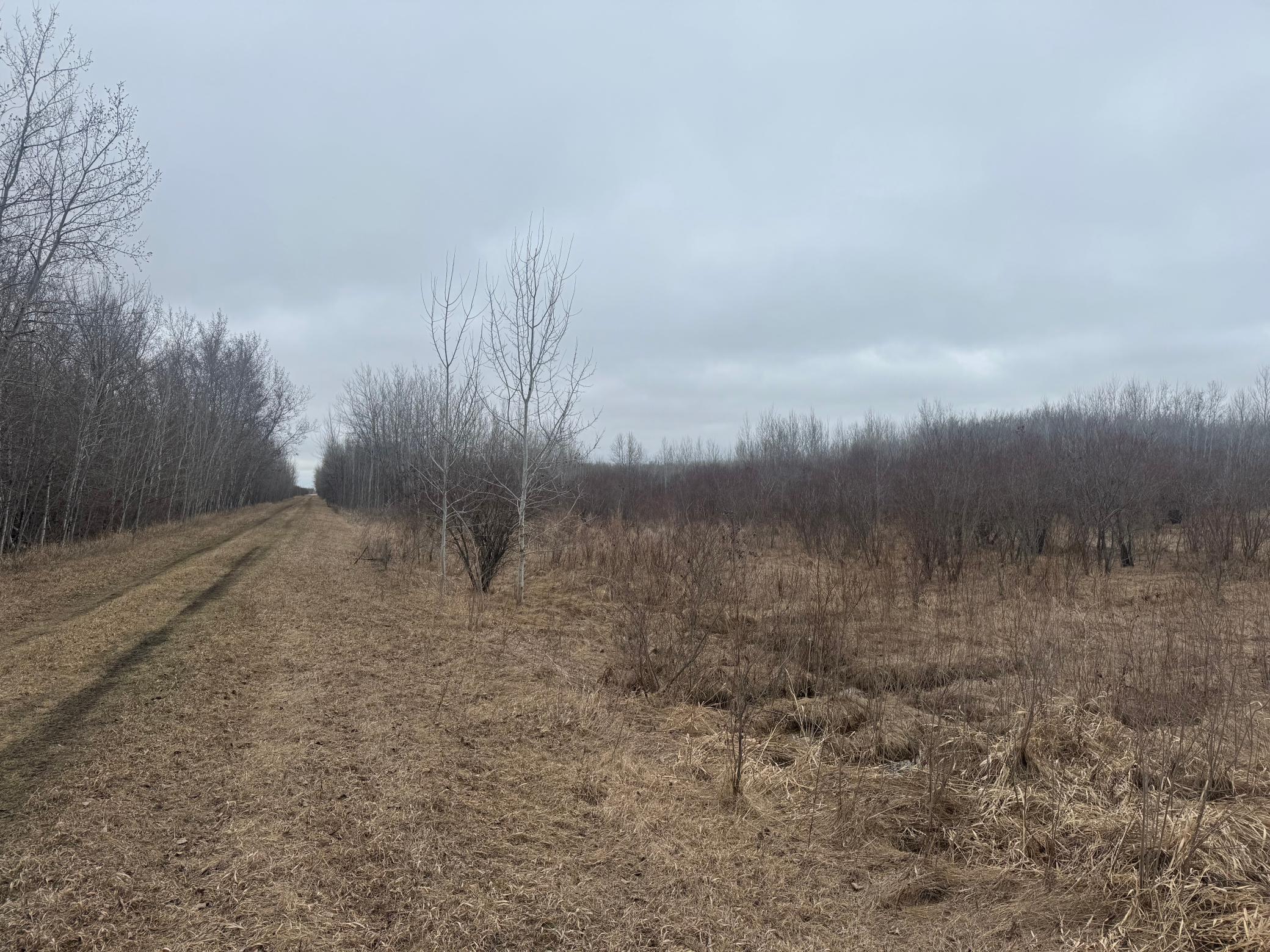 Tbd 200th Street Southeast Plummer, MN 56748 - Photo 14 of 20