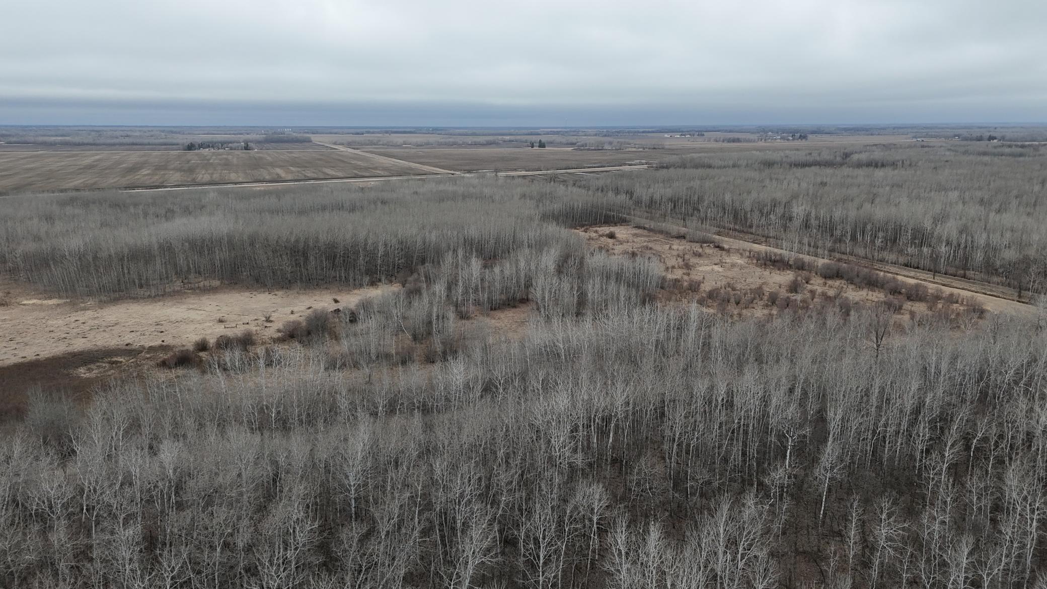 Tbd 200th Street Southeast Plummer, MN 56748 - Photo 15 of 20
