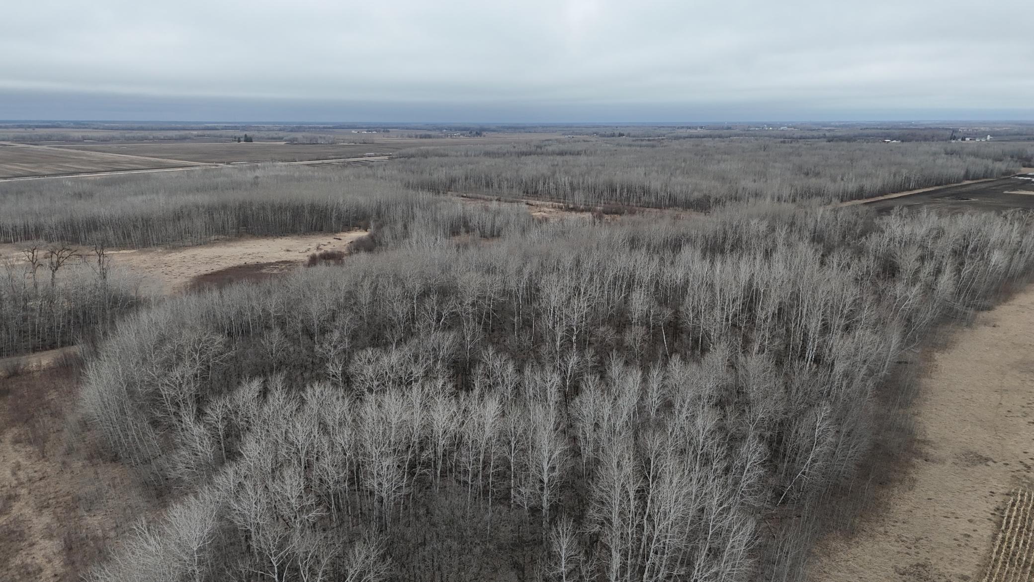 Tbd 200th Street Southeast Plummer, MN 56748 - Photo 16 of 20