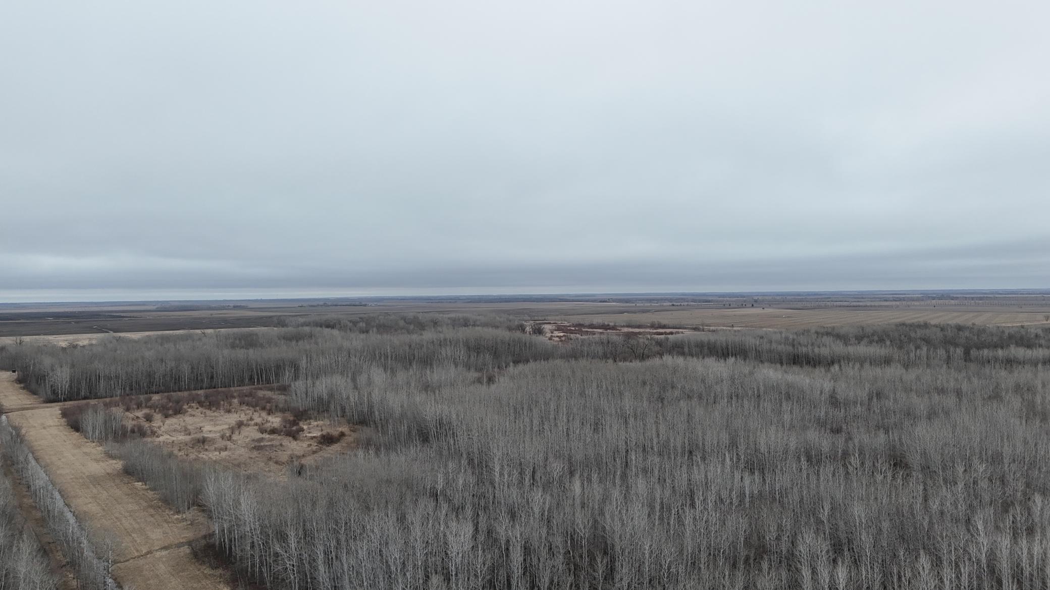 Tbd 200th Street Southeast Plummer, MN 56748 - Photo 20 of 20