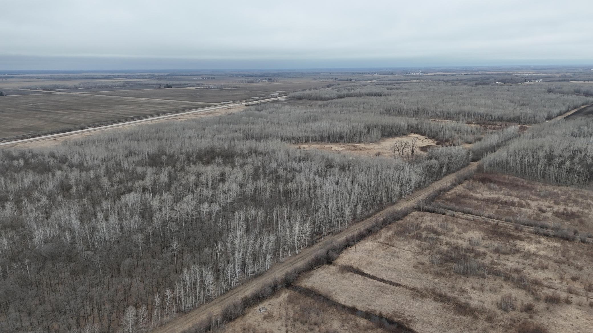 Tbd 200th Street Southeast Plummer, MN 56748 - Photo 2 of 20