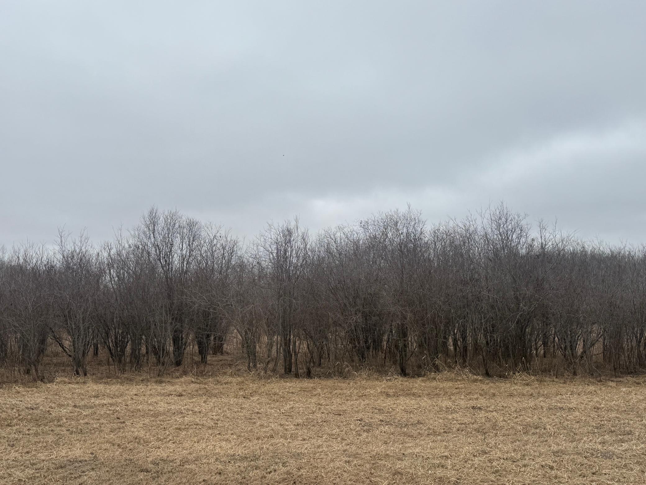 Tbd 200th Street Southeast Plummer, MN 56748 - Photo 10 of 20