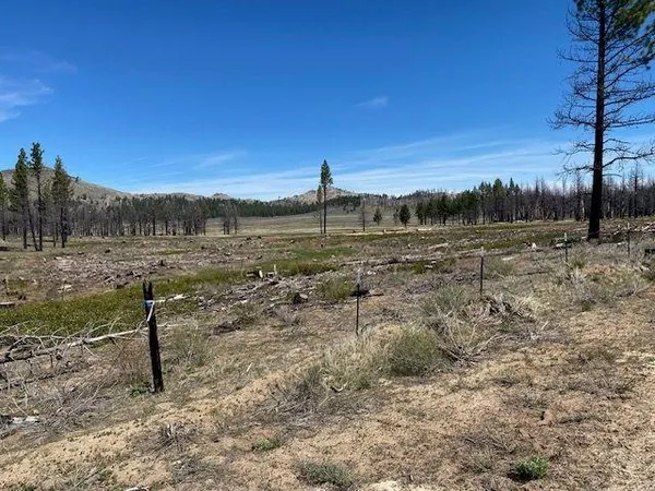 $48,500 | 631 Sugarloaf Road, Doyle, CA 96109