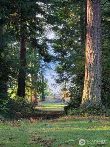 a view of garden with trees