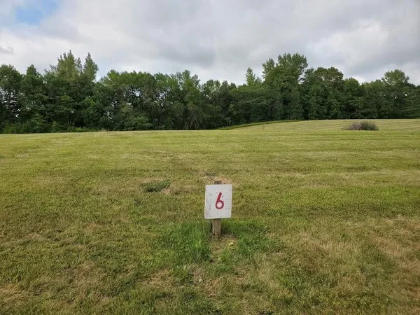 $39,900 | Lot 6 Devils Lake Road Northwest, Brandon, MN 56315