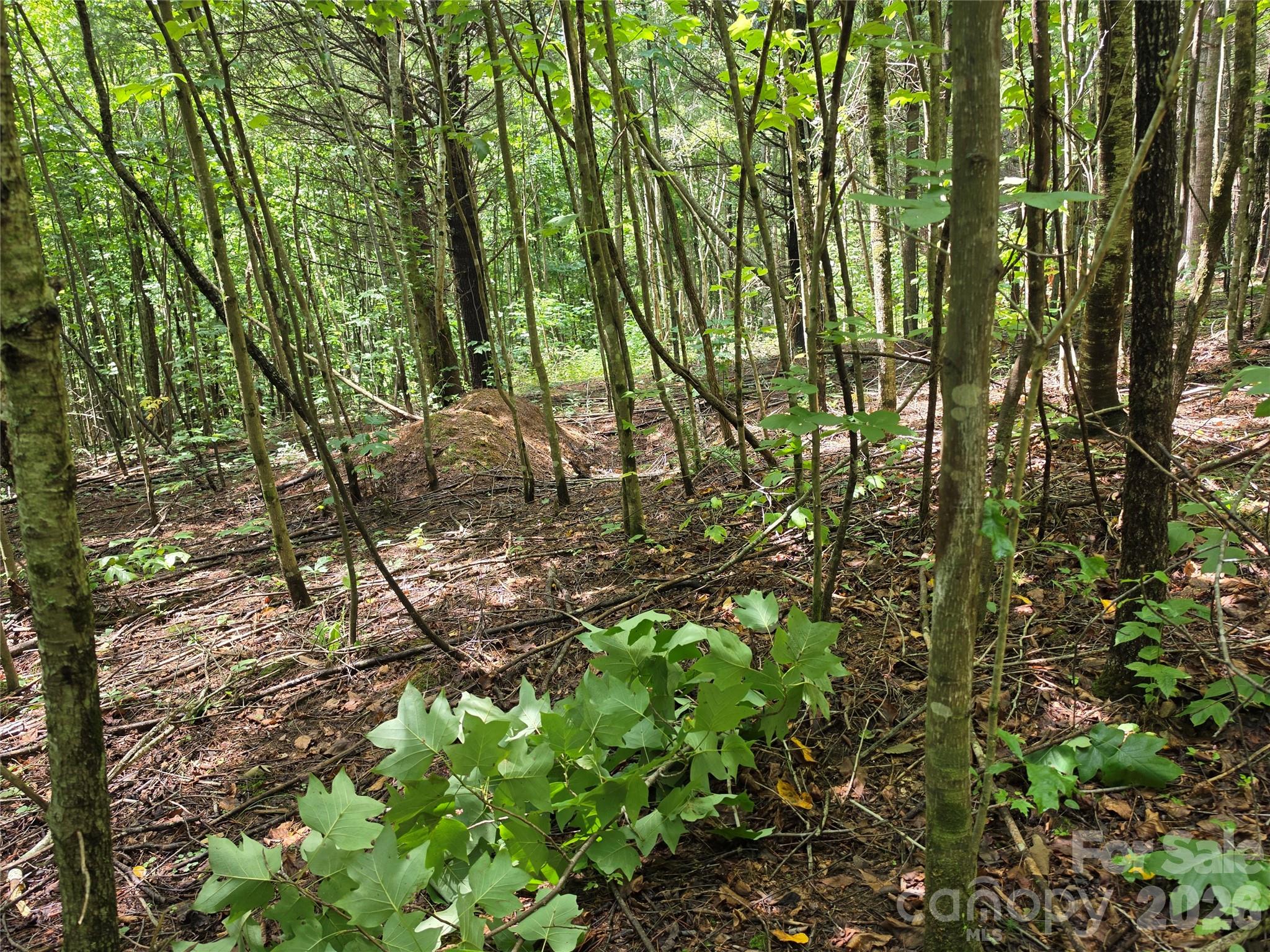99999 Bob Barnwell Road Fletcher, NC 28732 - Photo 29 of 29 Gallery Image 29