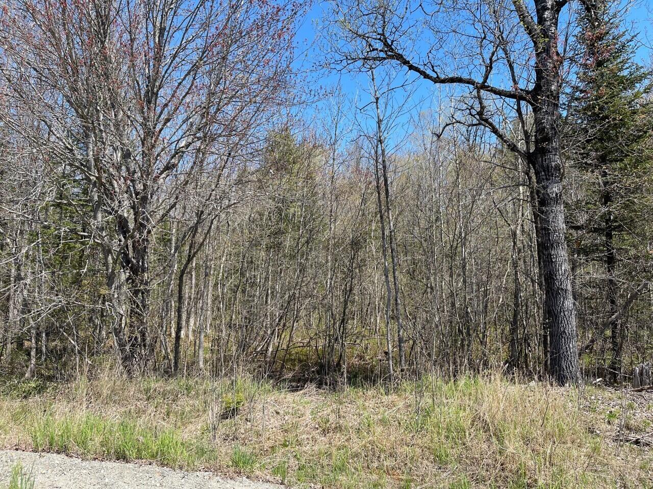 L20 Greenleaf Road Anson, ME 04911 - Photo 2 of 13 Anson 2